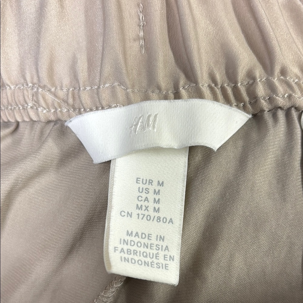 H&M Light Taupe Silk Pants
